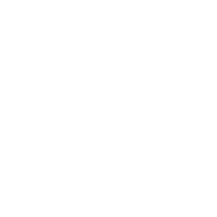 Sport 215 Icon
