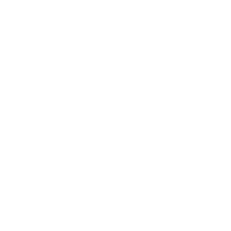 Sport 217 Icon
