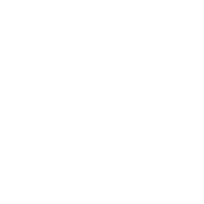 Sport 523 Icon