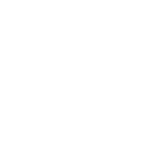 Sport 520 Icon