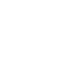 Sport 521 Icon