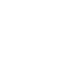 Sport 519 Icon
